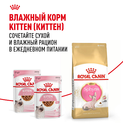Royal Canin Sphynx Kitten Корм сухой сбалансированный для котят породы Сфинкс до 12 месяцев, 0,4 кг